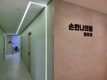 손한나 의원